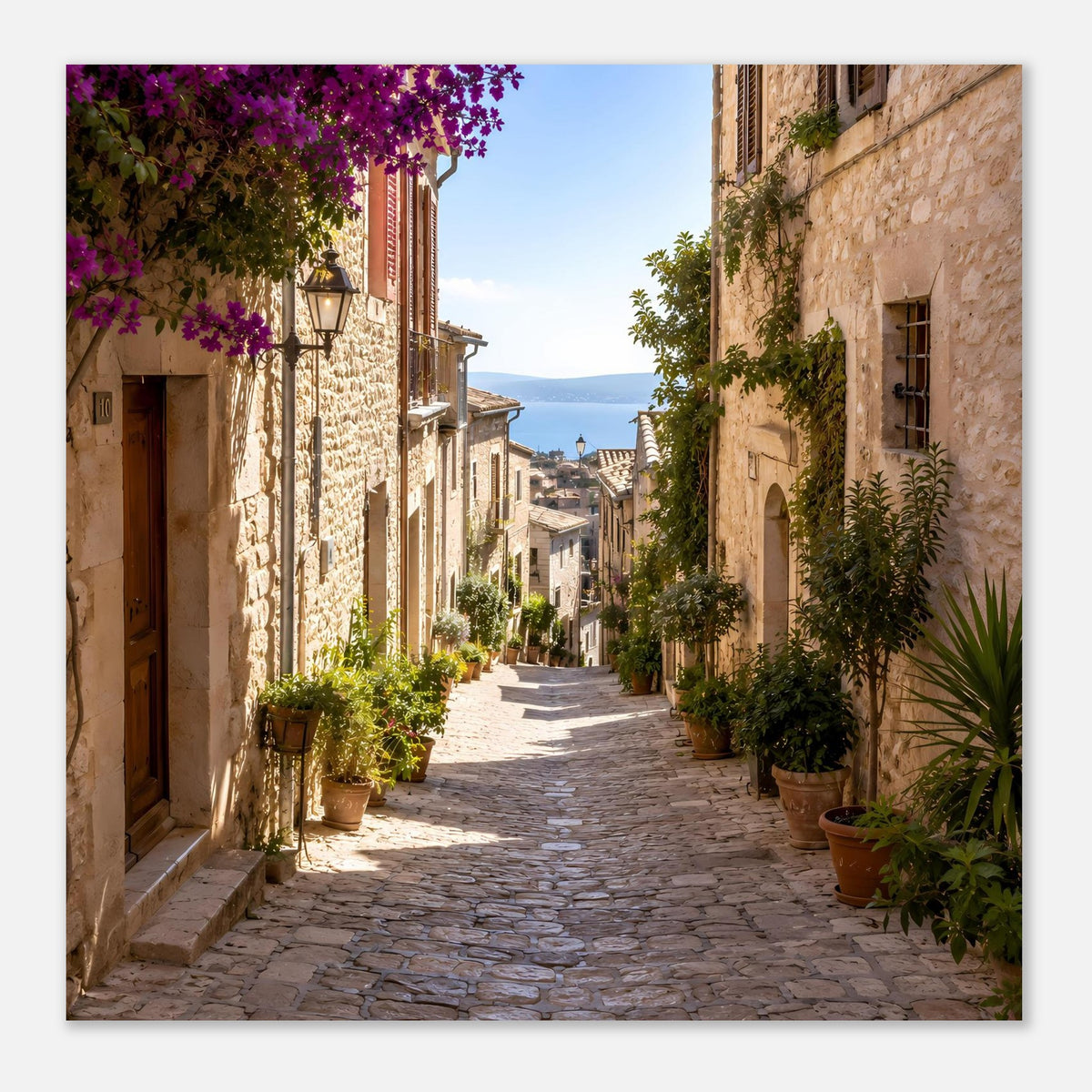 Quadratisches Wandposter mit mediterraner Stein-Gasse, lila Blüten, grünen Pflanzen und sonnigem Weg