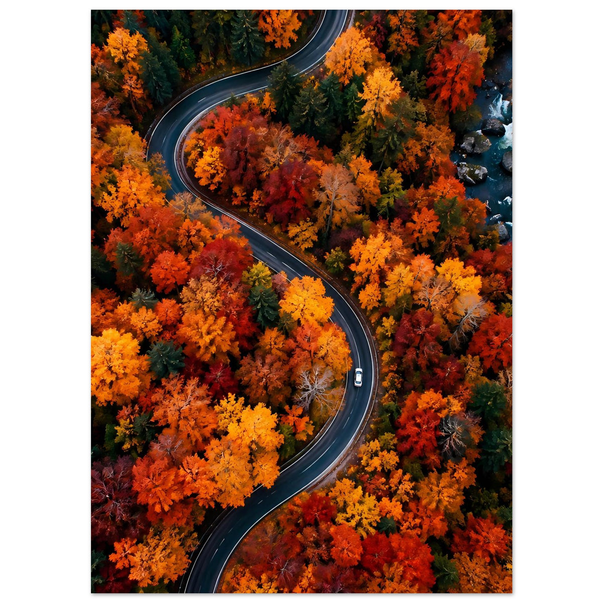 Herbstliches Poster: Straße mit dunklem Verlauf durch orange und gelb leuchtende Baumkronen