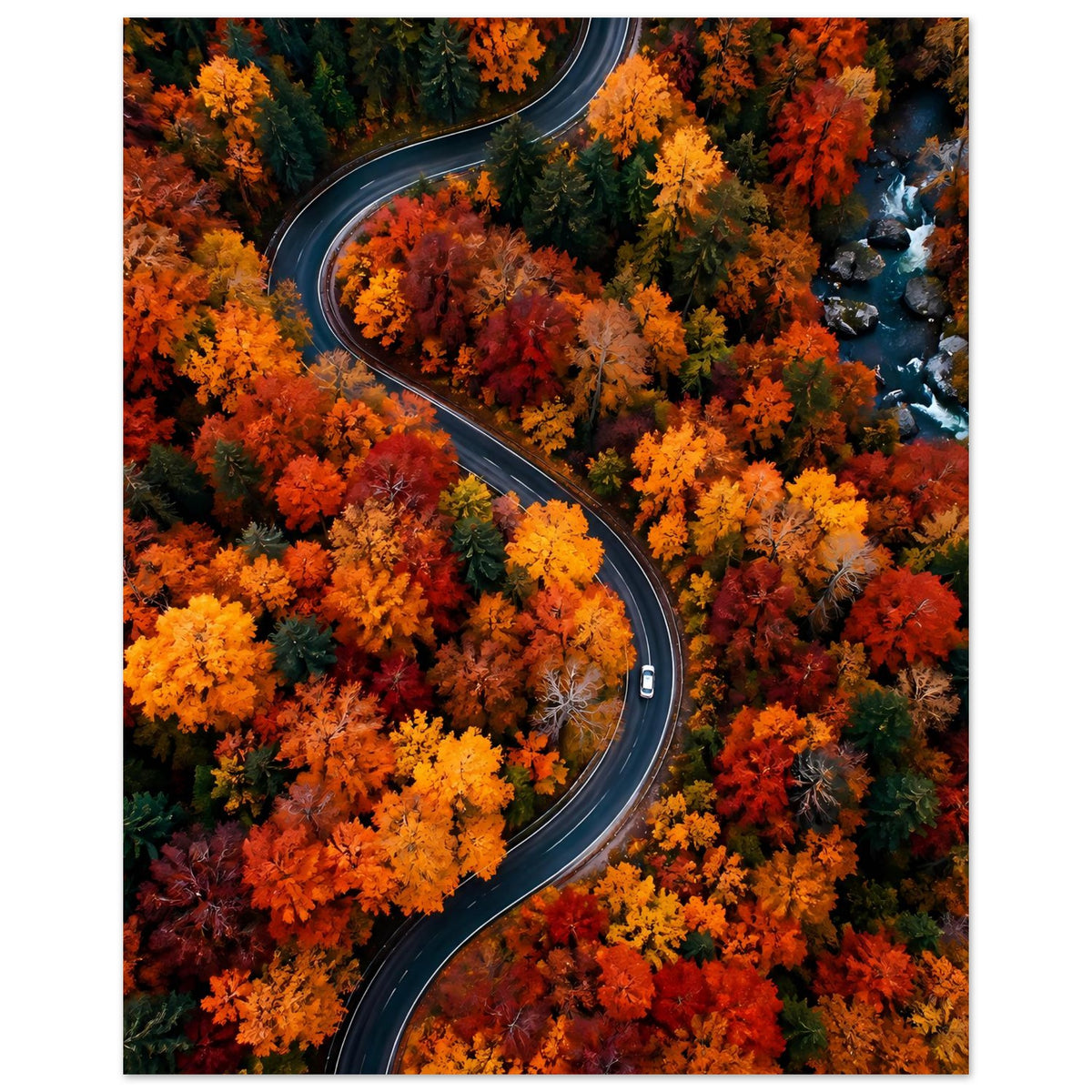 Poster mit kurviger Straße zwischen Herbstbäumen in kräftigen Orange- und Gelbtönen