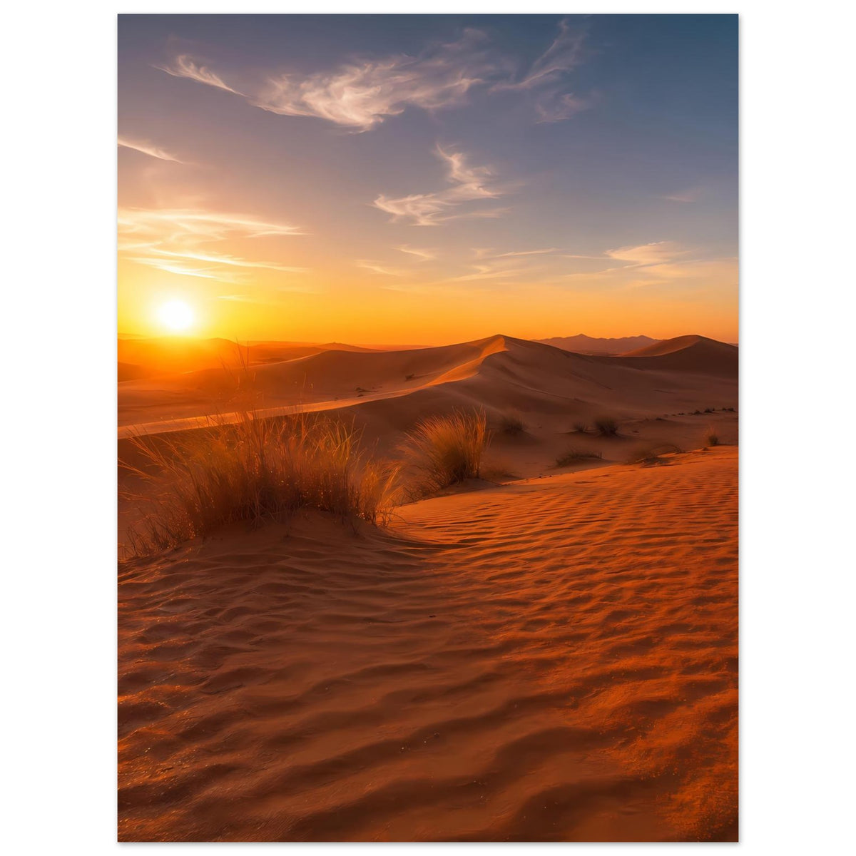Poster mit Sanddünen und Abendsonne, warme Orangefarben, Dünenkamm und Büschelgras im Vordergrund.