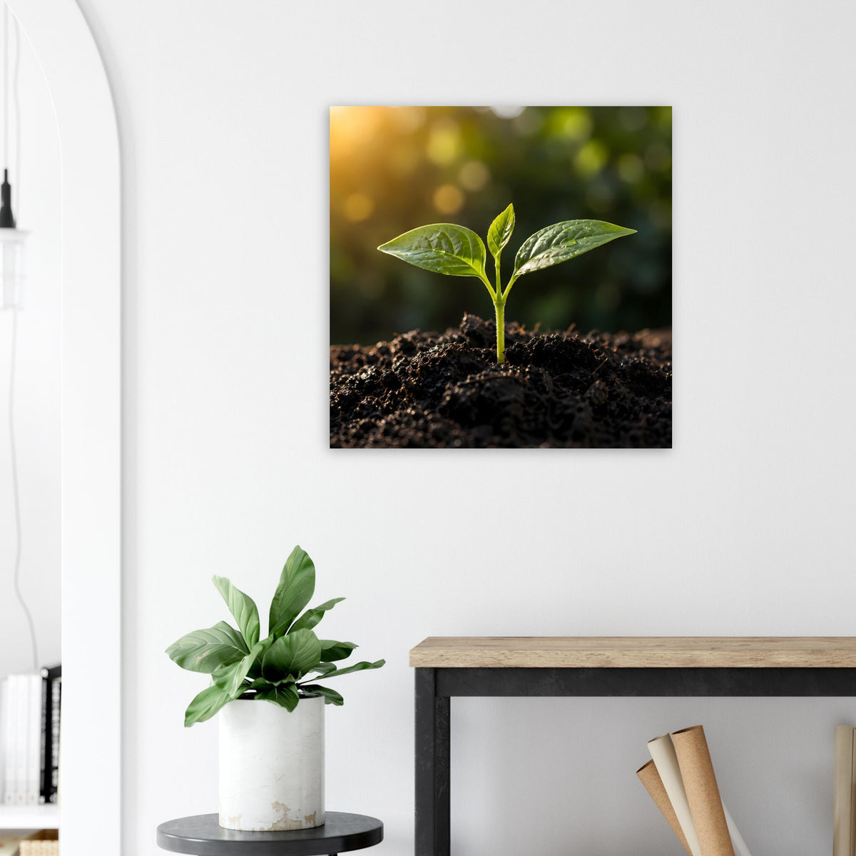 Wandbild mit grünem Spross, der aus dunkler Erde wächst, im quadratischen Format