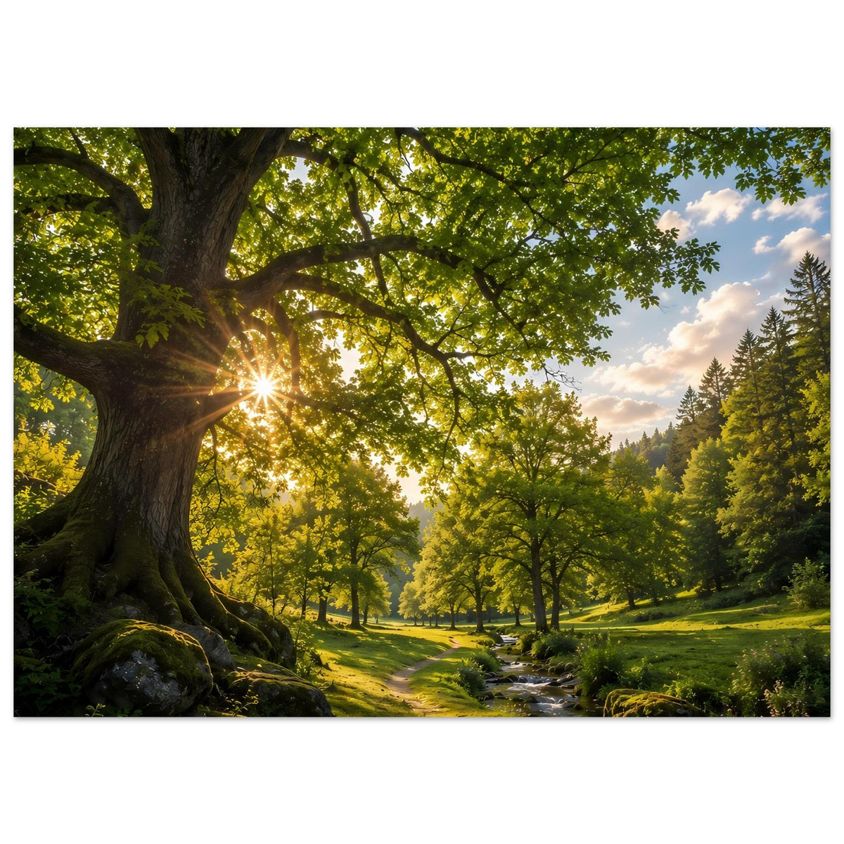 Horizontales Poster mit Waldweg, Bachlauf und goldenem Sonnenlicht