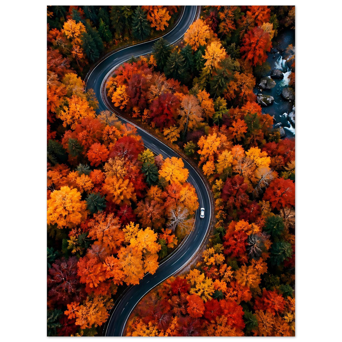 Herbstliches Poster: geschwungene Straße durch intensiv orangefarbenes und gelbes Laub