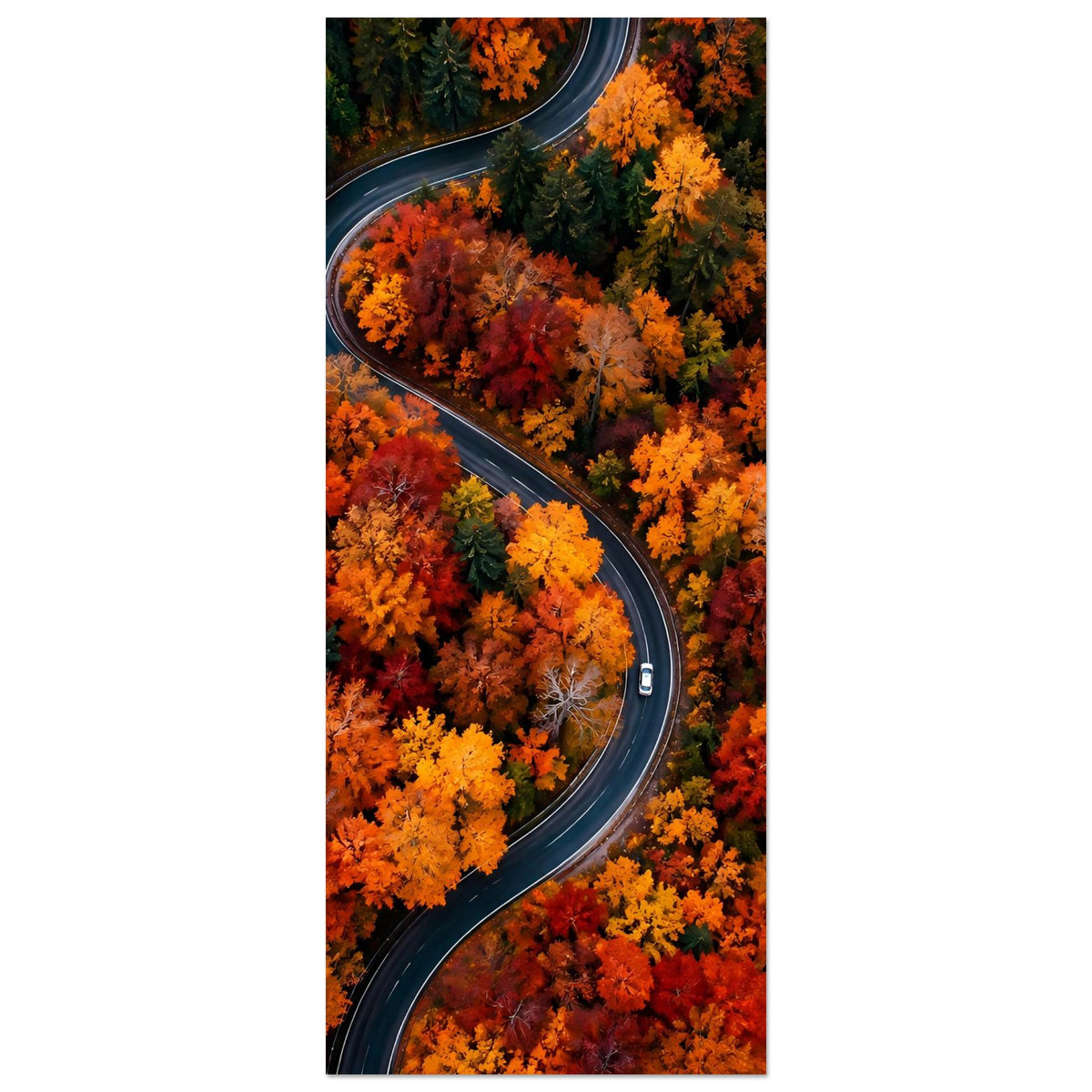 Herbstposter im Hochformat: Geschwungene Straße durch bunten Herbstwald mit Fluss im Hintergrund