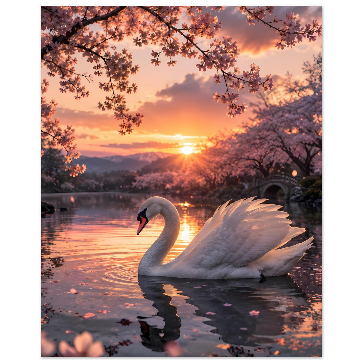 Poster: weißer Schwan auf dem See, Sonnenuntergangsstimmung mit reflektiertem Licht