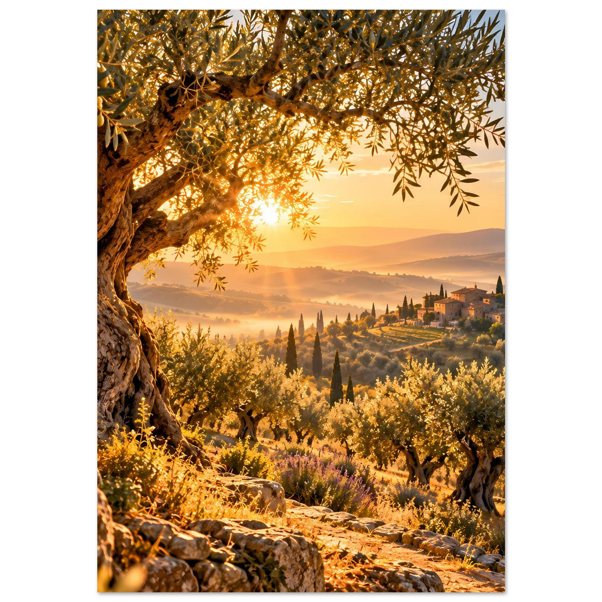 Landschaftsposter im Hochformat: Olivenzweige oben, Sonnenaufgang über Hügellandschaft und Zypressen.