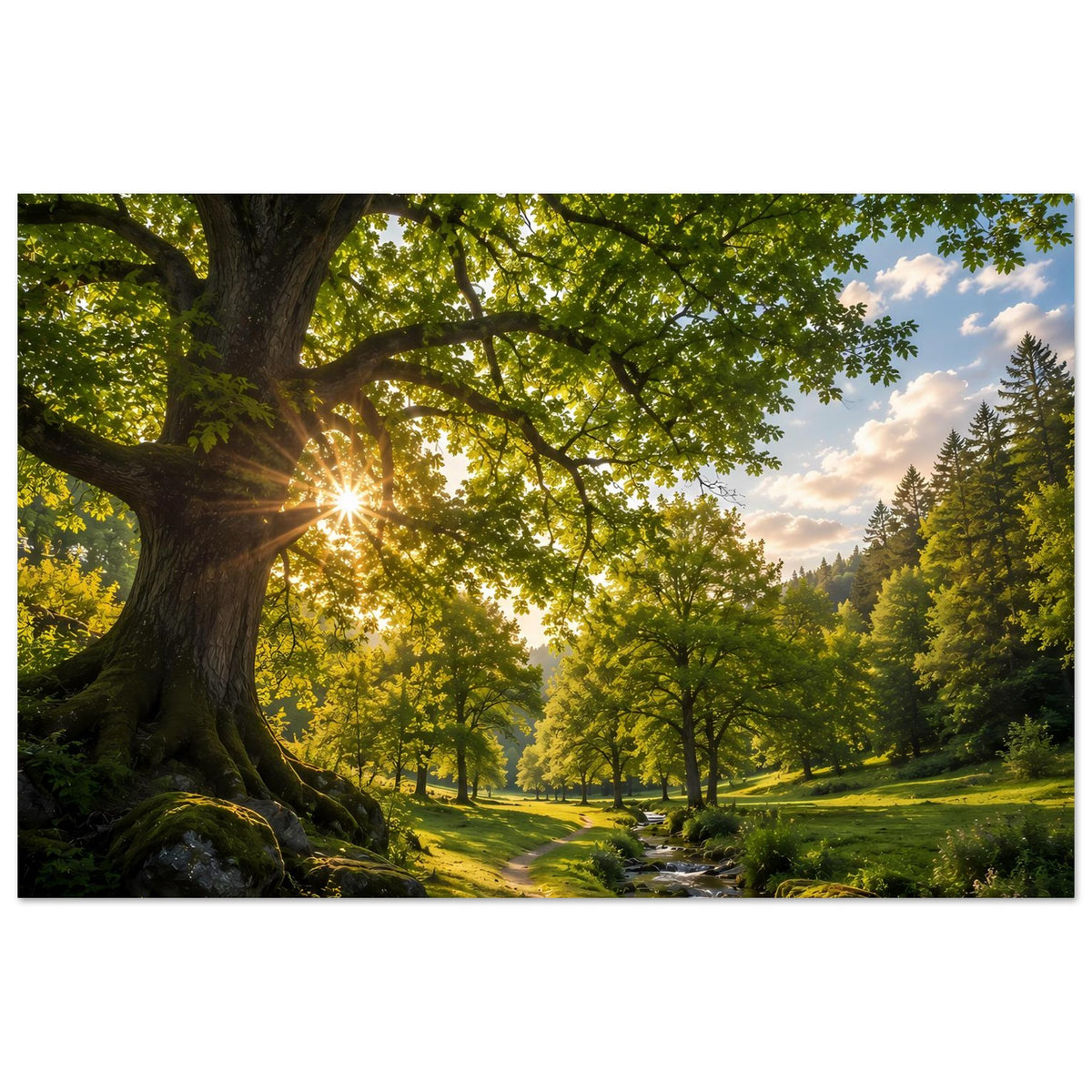 Poster im Querformat: Waldpfad am Bach, weitläufige Bäume und goldenes Sonnenlicht