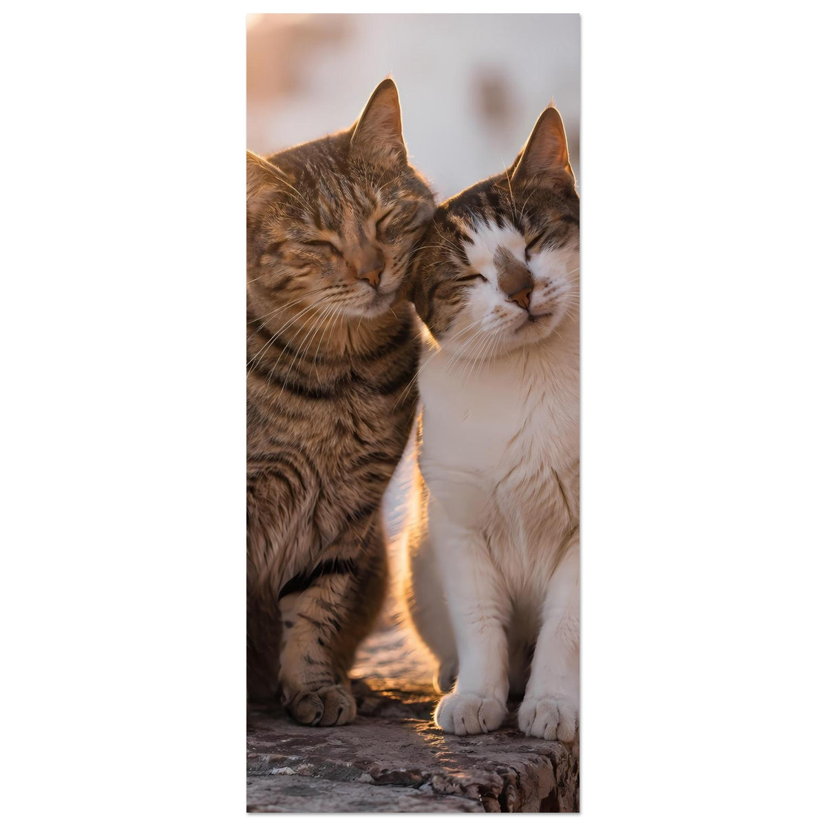 Vertikales Katzenszene-Poster: zwei Katzen kuscheln, von der Brust nach oben