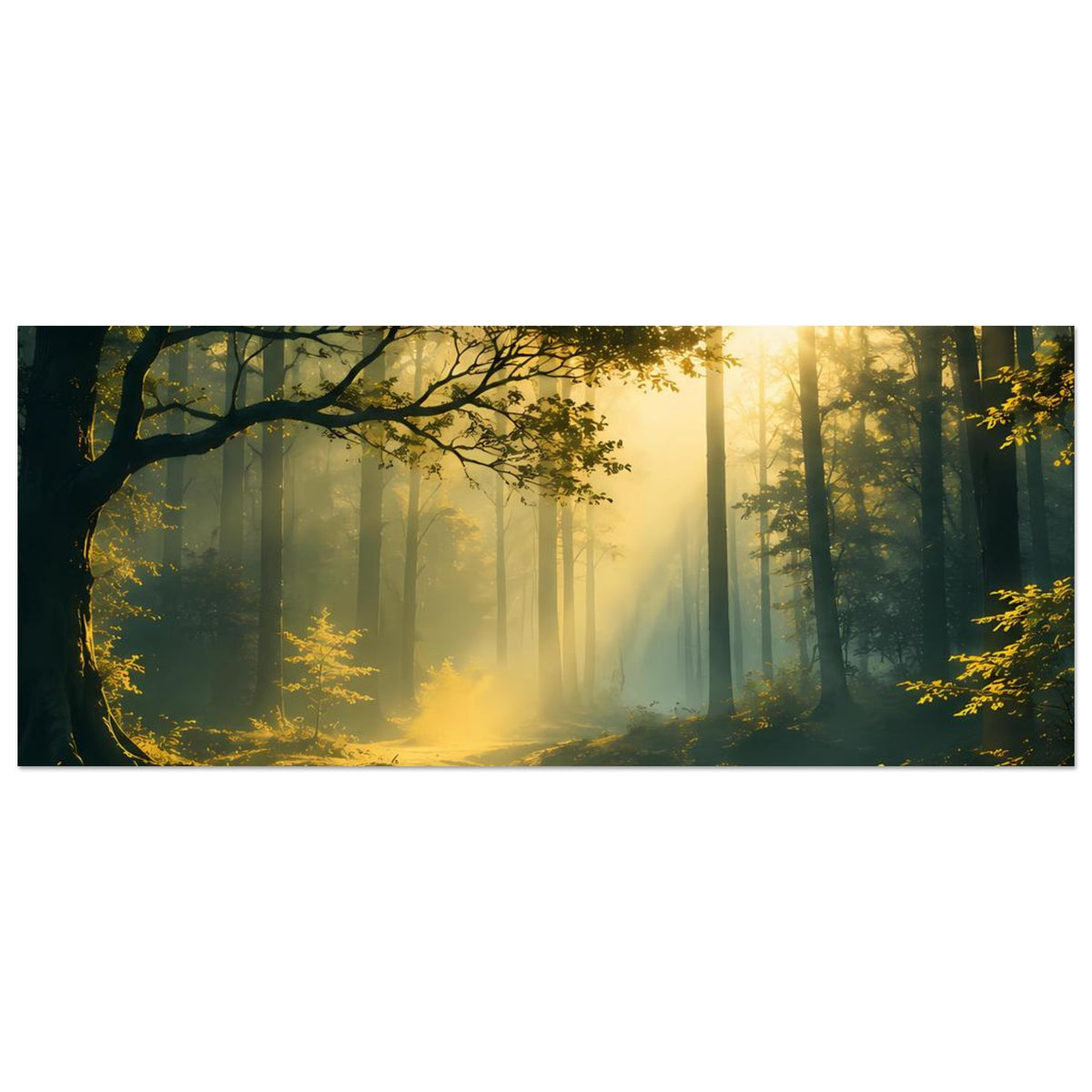 Querformat-Poster: Waldlandschaft mit Sonnenstrahlen, Moosboden und fließendem Wasser.