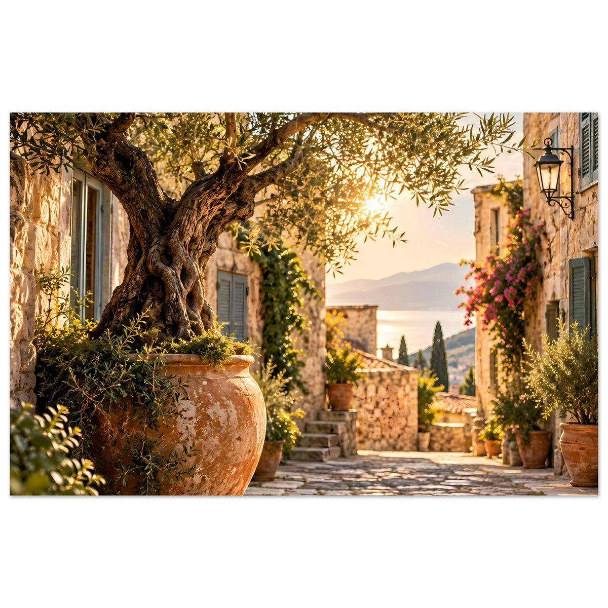 Mediterranes Fotoposter: Olivenbaum über Tongefäß, Gasse mit Pflanztöpfen