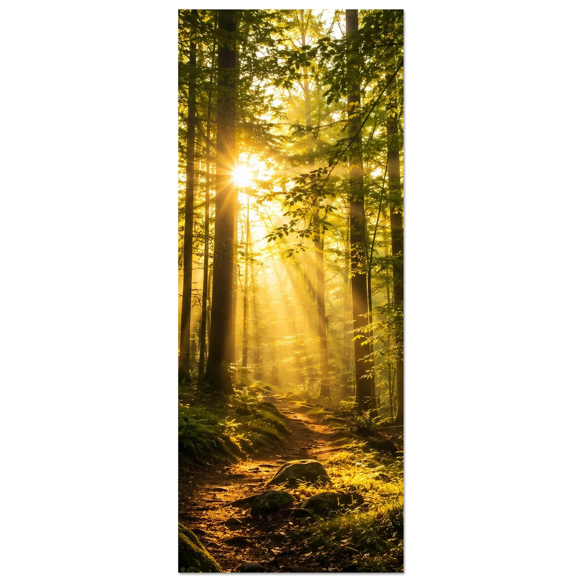 Hochkant-Poster Sonnenaufgang im Wald, Lichtstrahlen auf dem Pfad
