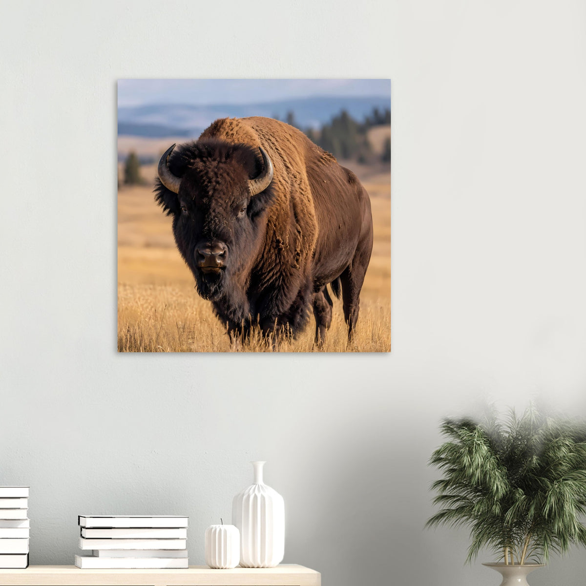 Wildtierposter mit braunem Bison im Gras, quadratisch gerahmt