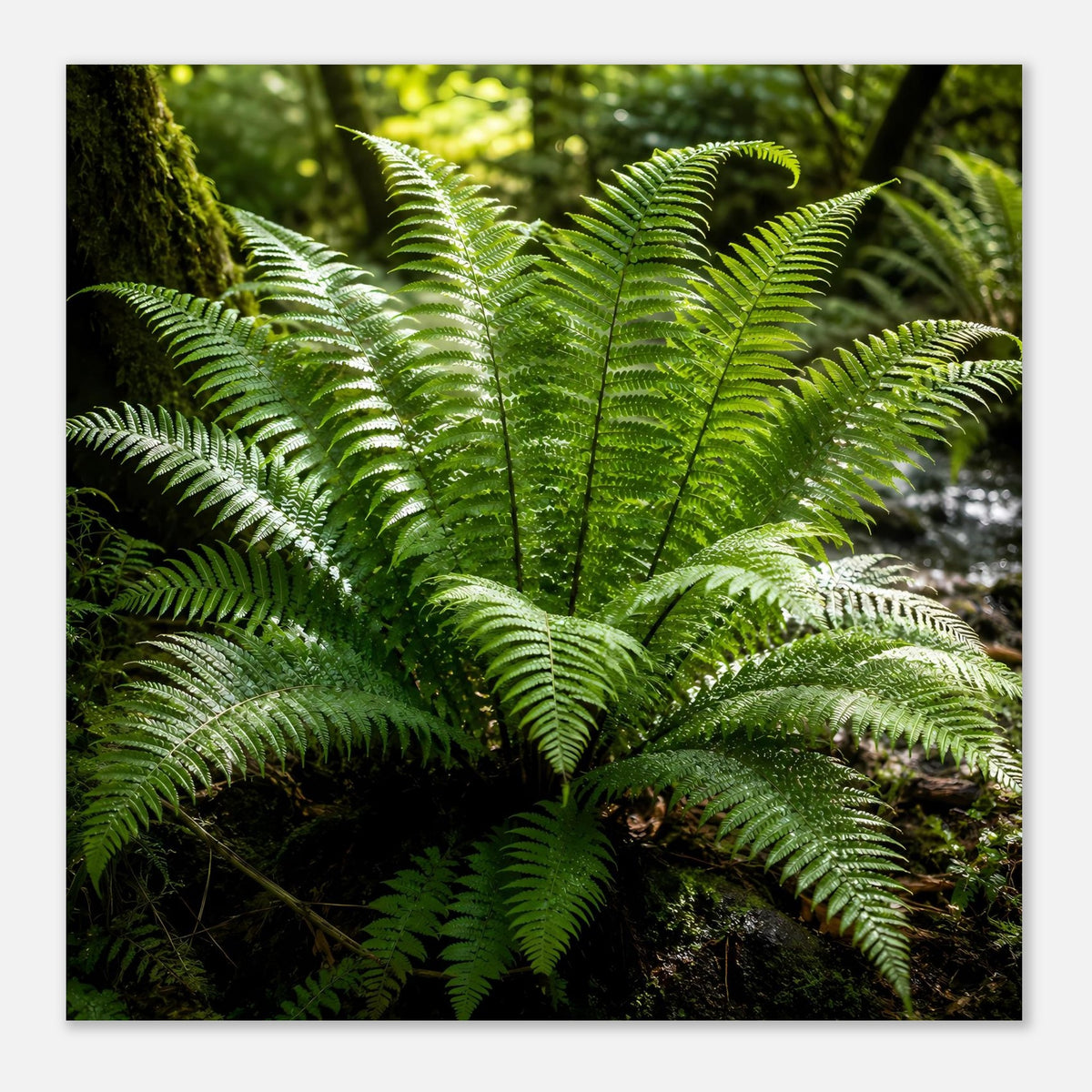 Großes rechteckiges Naturposter mit grünen Farnwedeln, zentrales Blattbuschwerk und Fächer