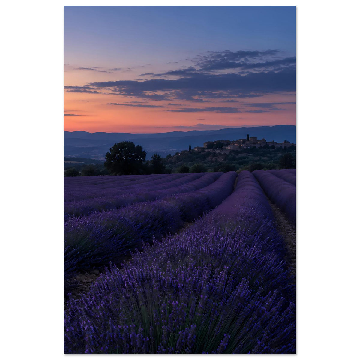 Landschafts-Poster mit violettem Lavendelfeld, Sonnenuntergangshimmel und entfernten Hügeln