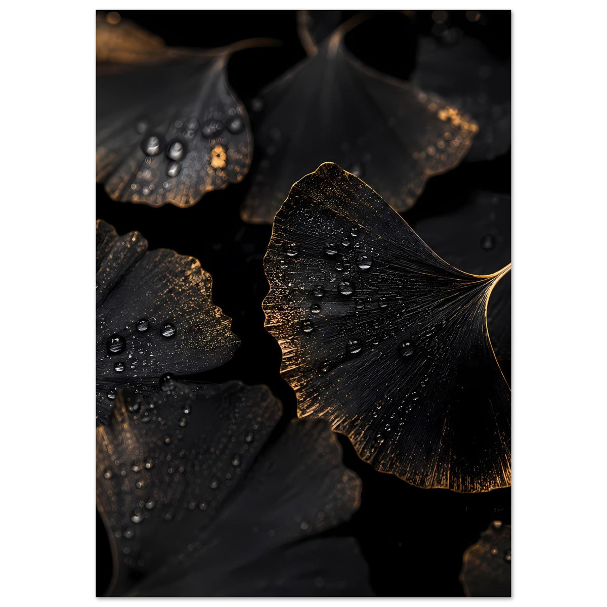 Ginkgo-Blatt Poster Hochformat: dunkle Blätter mit Wassertropfen und goldener Akzentkante