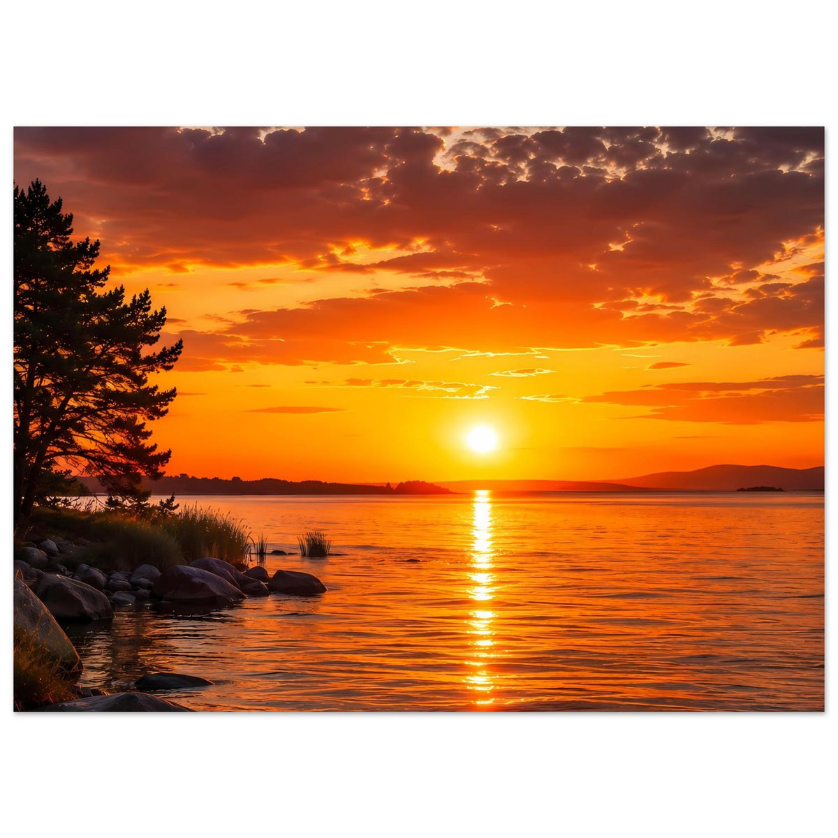 Wandposter mit Sonnenuntergang am See, Reflexe auf dem Wasser, Ufer mit Nadelbaum links
