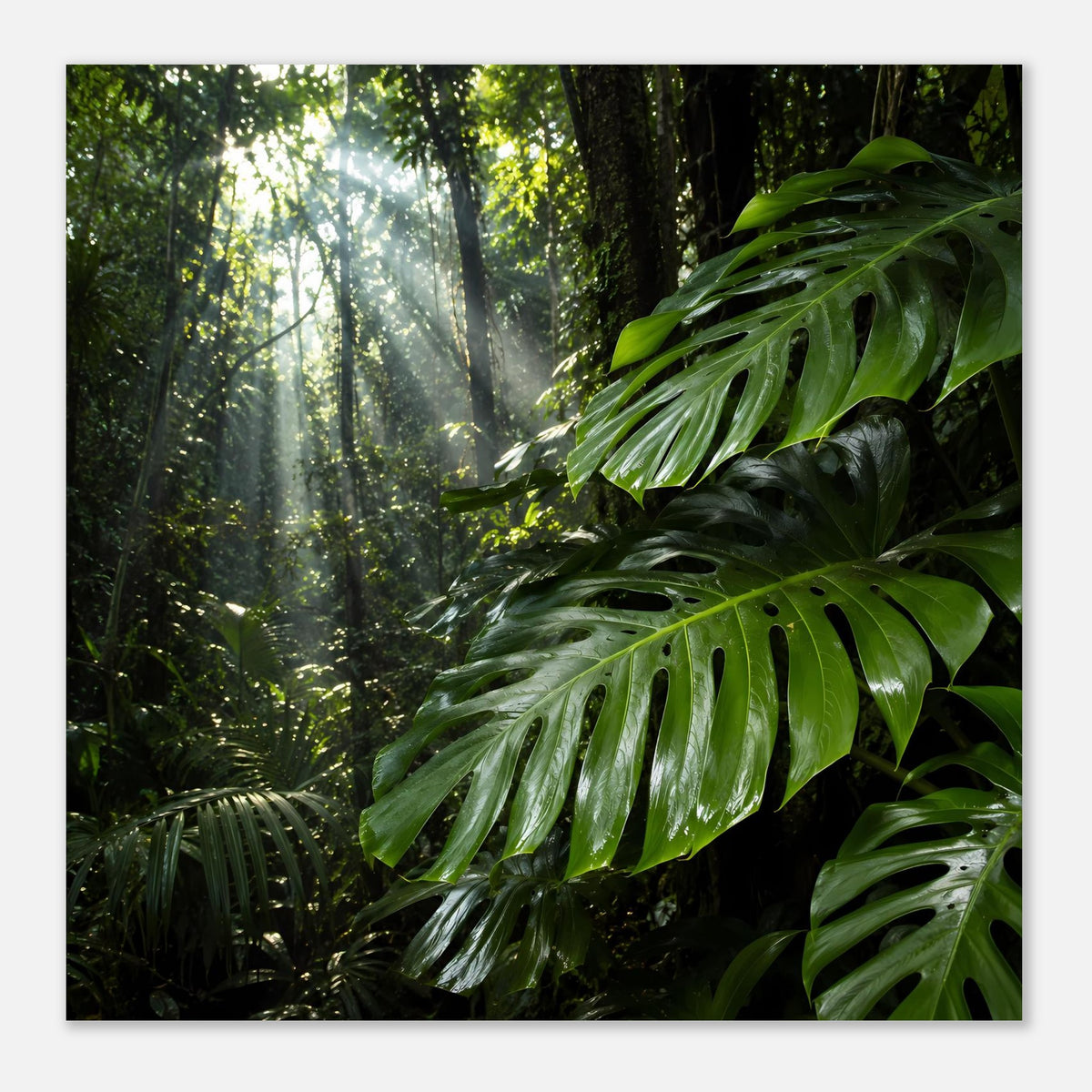 Dschungel-Poster mit grünen Blättern, Waldnebel und Licht zwischen Bäumen