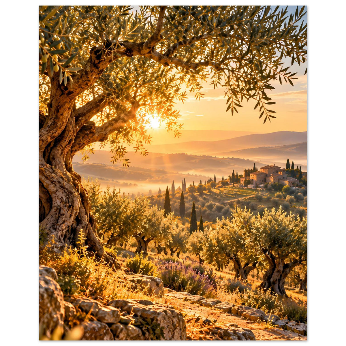 Landschaftsposter mit Olivenhainen, goldener Morgensonne und Landschaft mit Dorfansicht