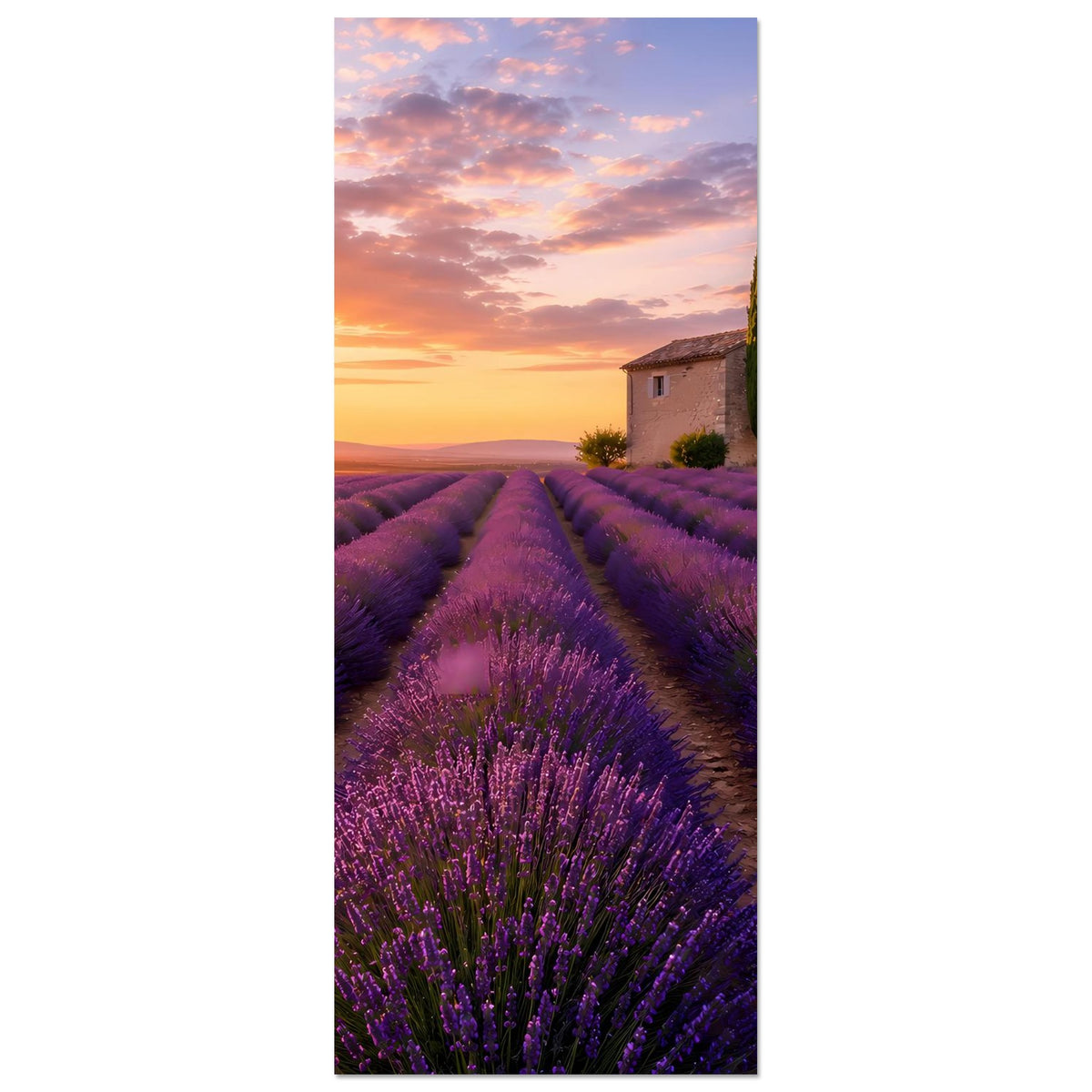 Vertikales Poster mit Lavendelfeld und Sonnenuntergang, Kapelle im Hintergrund, Zypresse.