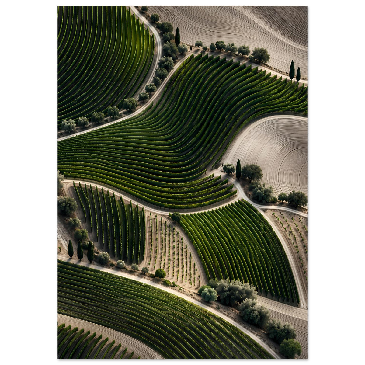 Landschaftsposter im Hochformat: grüne Rebzeilen über Terrassen, helle Feldwege.