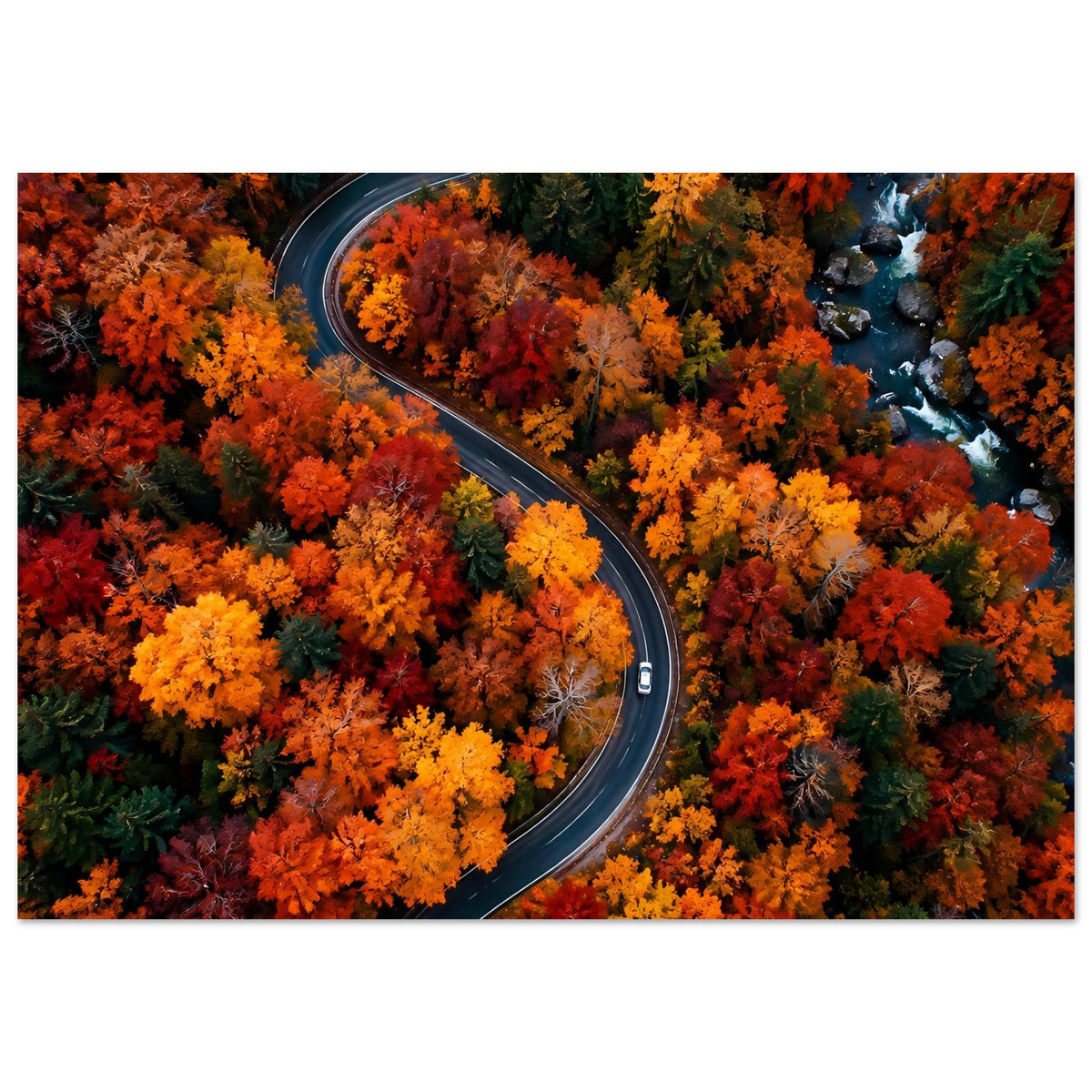 Poster mit kurviger Straße durch farbenfrohe Herbstbäume, mit Bach am rechten Rand