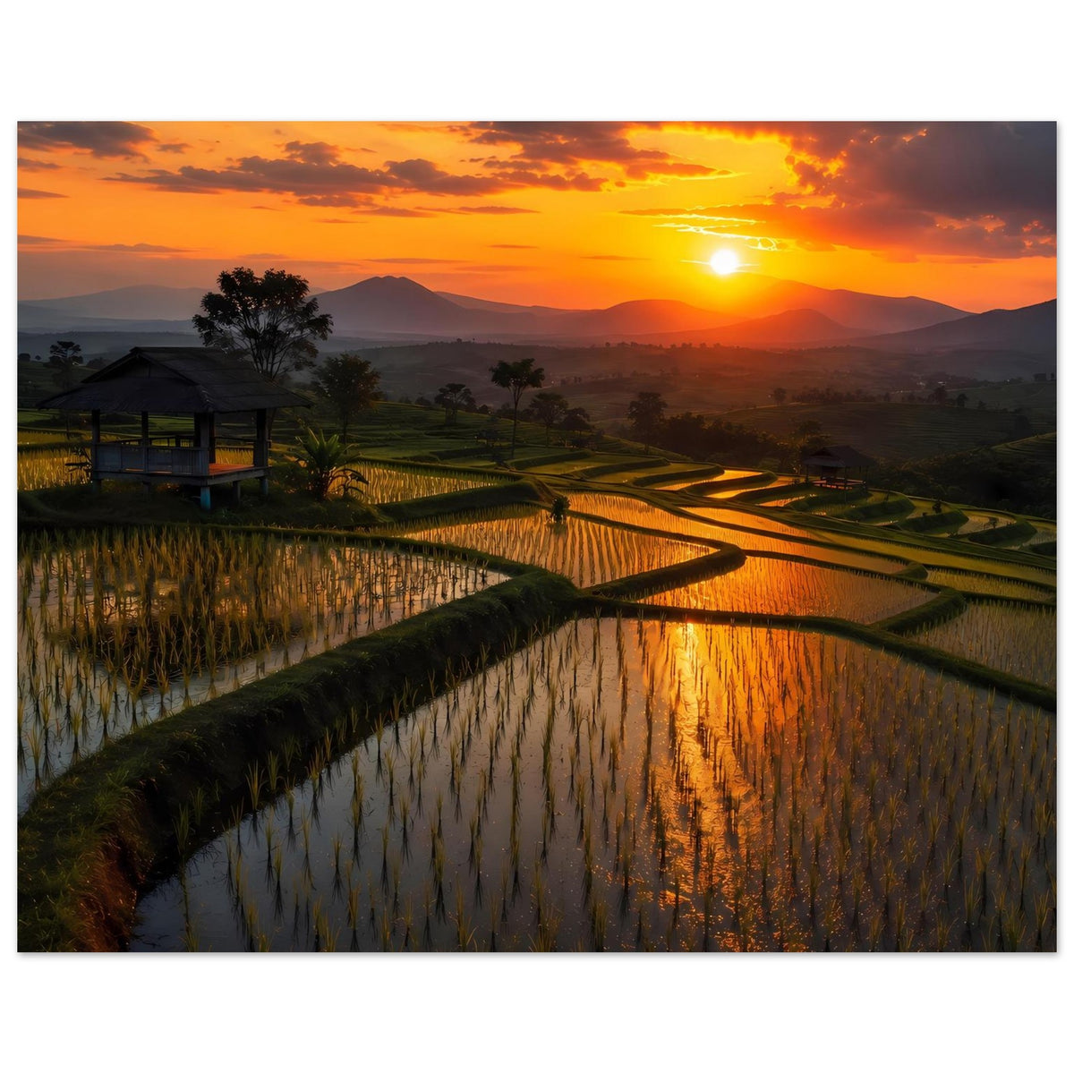 bd6e50ea-b890-4e20-b8d6-bc8334749e53