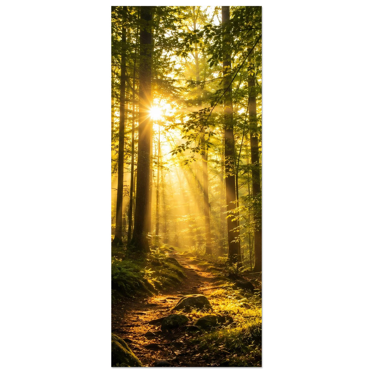 Hochkant-Wandposter Waldweg im Sonnenlicht, goldene Strahlen zwischen Bäumen