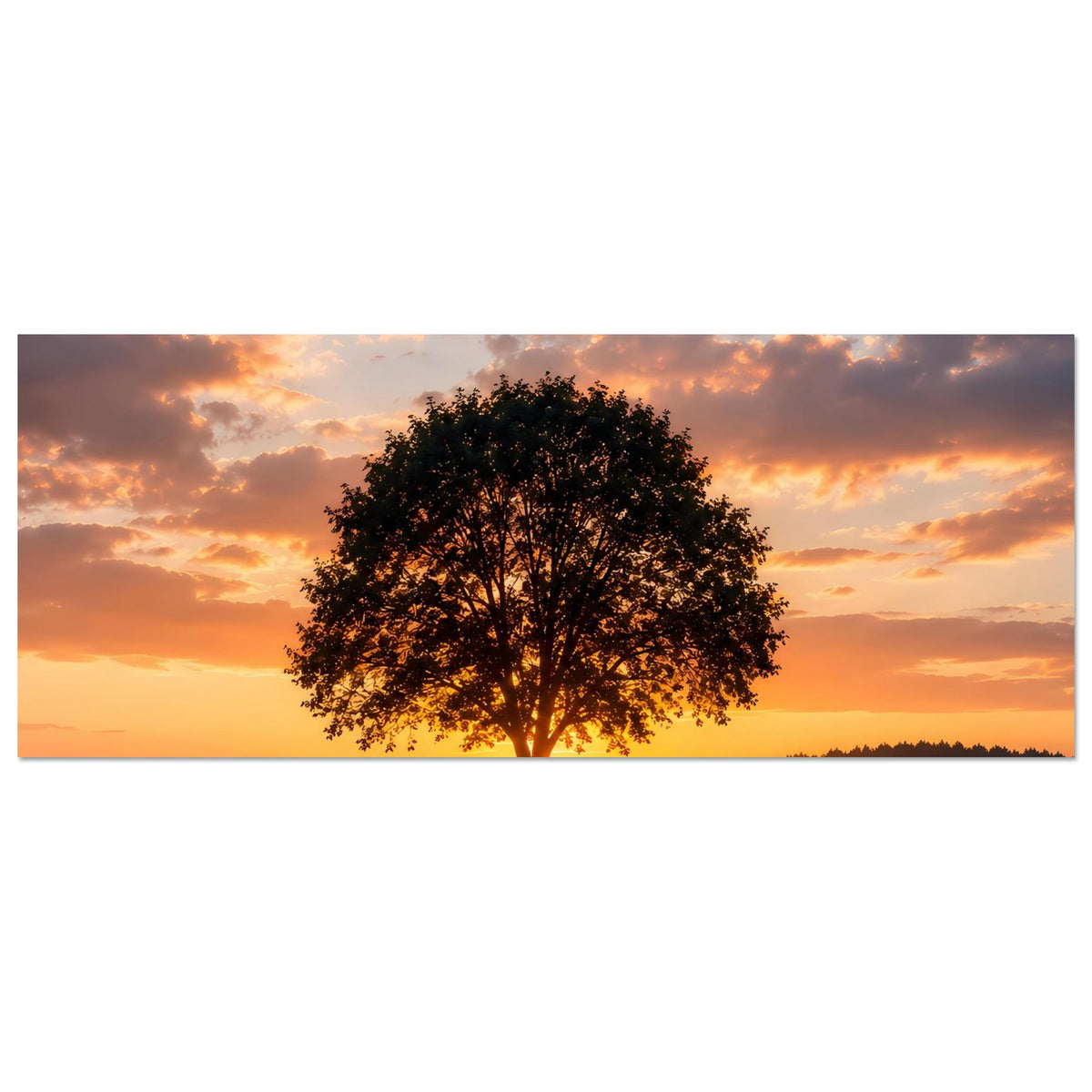 Horizontales Poster mit einsamem Baum und Sonnenuntergang, warmes Licht über Feldern