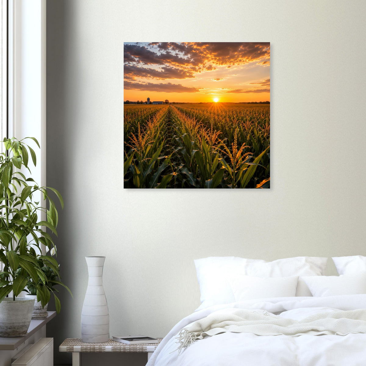 Quadratisches Wandposter mit Sonnenuntergang über Maisfeld, orangefarbene Wolken
