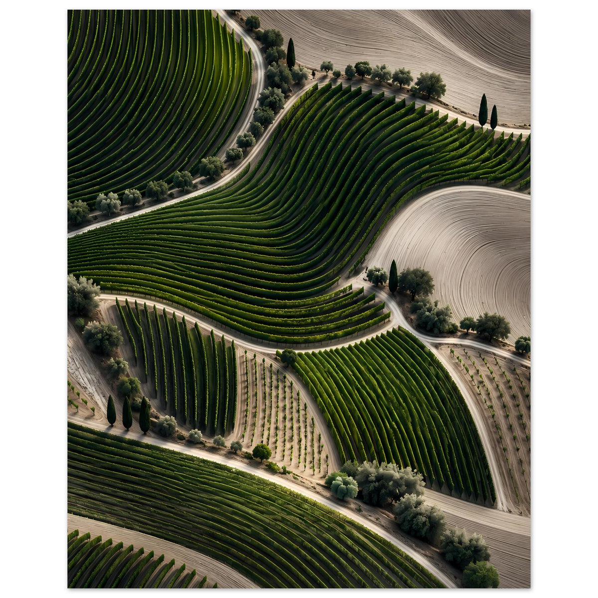 Landschaftsposter mit Weinbergen und Reihenterrassen in Grün, rechts spiralförmige Bodenstruktur