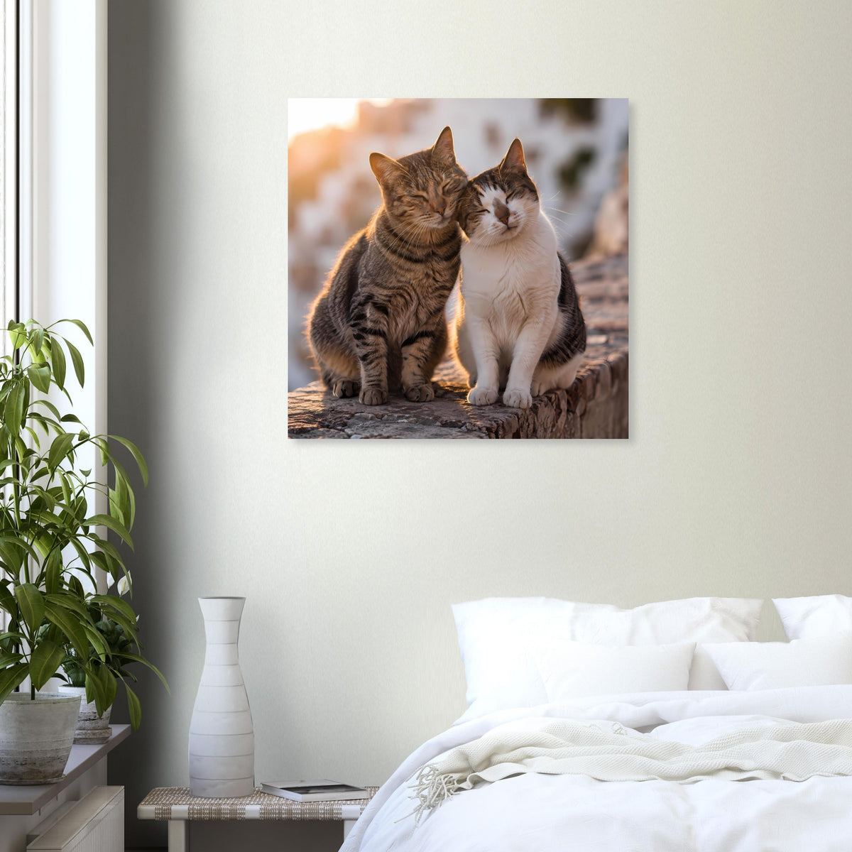 Quadratisches Poster mit zwei Katzen, braun gestreift und weiß, an der Steinmauer