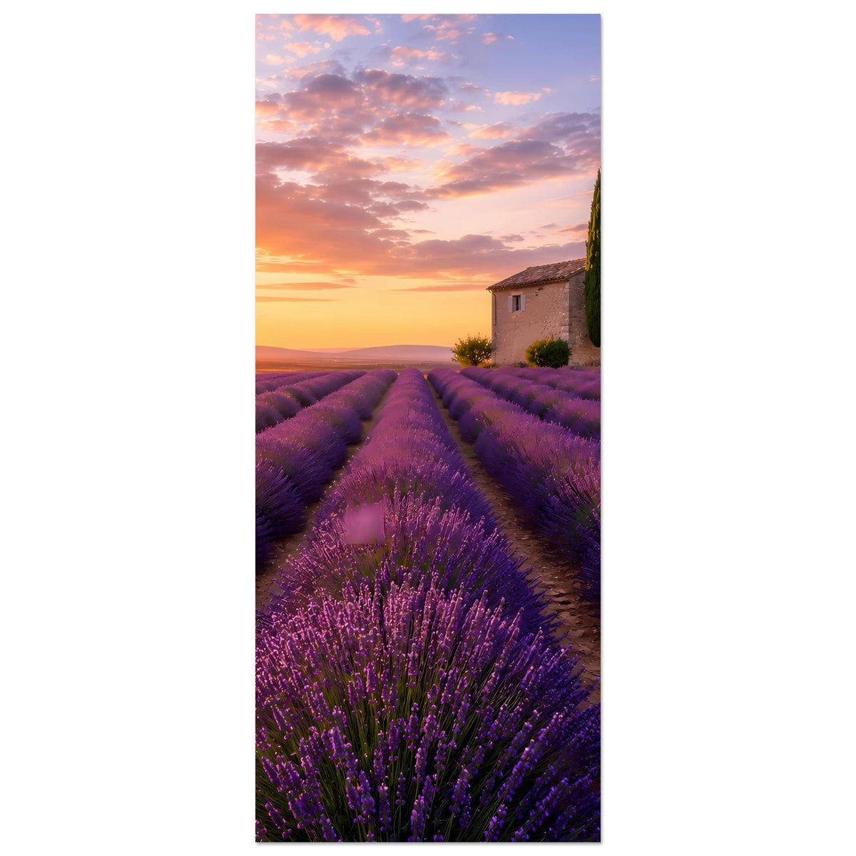 Vertikales Poster mit Lavendelfeld, Sonnenuntergang über Kapelle und hoher Zypresse.