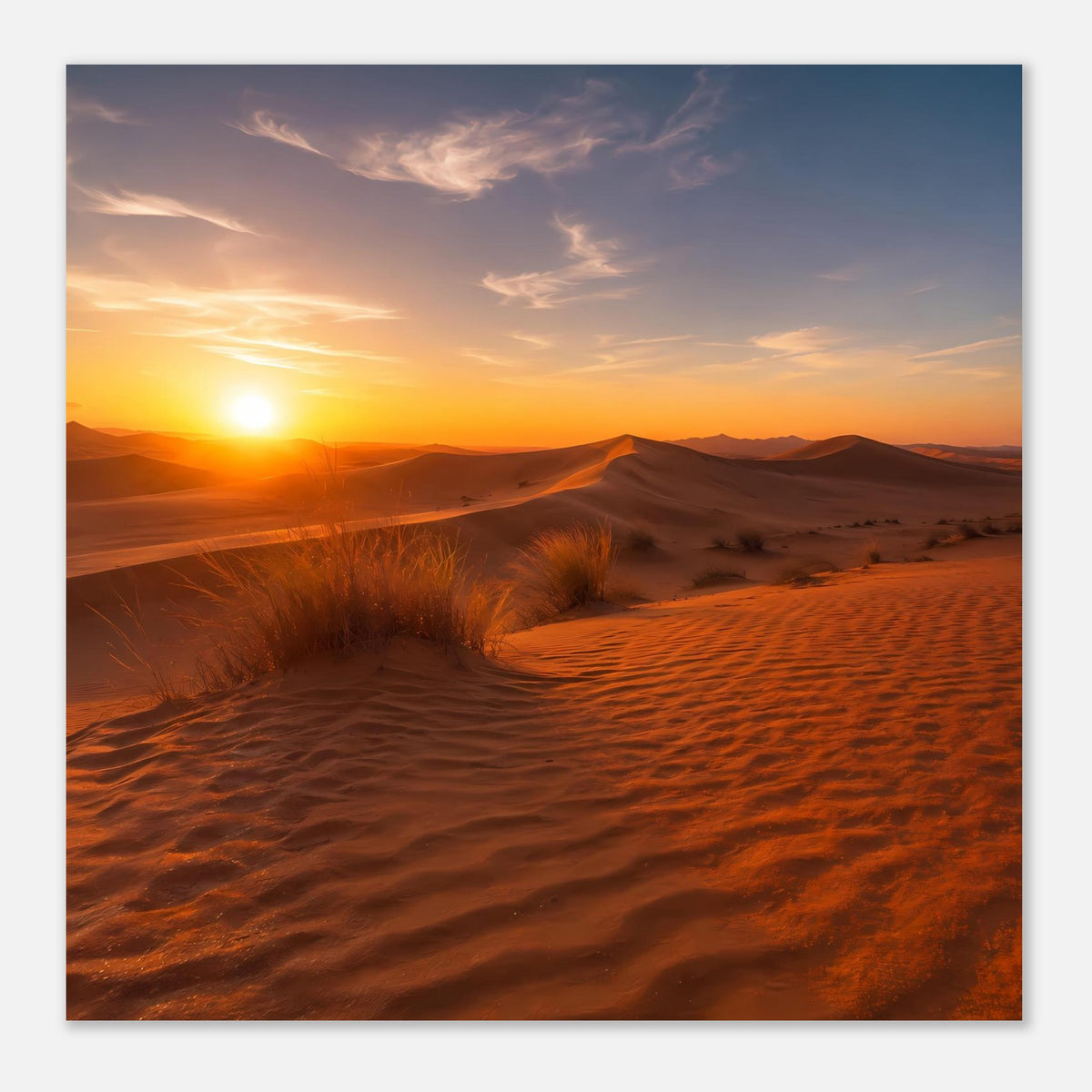 Quadratisches Poster mit goldener Sonne über Sanddünen und Dünenkämmen