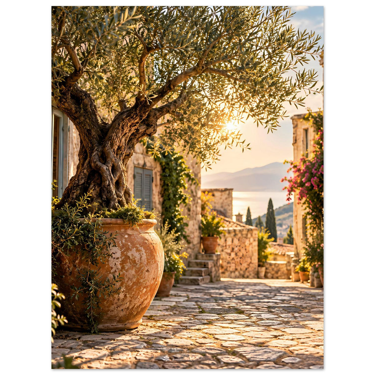 Mediterranes Poster: Olivenbaum am großen Tontopf, blühende Pflanzen, gepflasterter Weg.