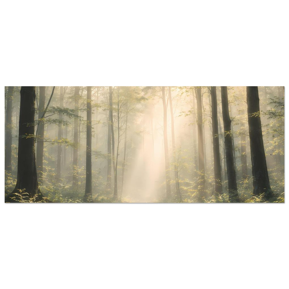 Horizontales Naturposter: Wald mit Lichtstrahlen über einem Bachlauf
