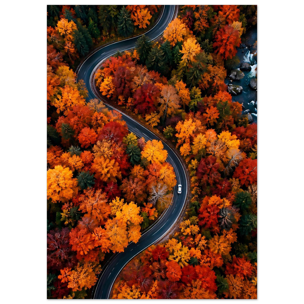 Herbstliches Poster mit Landschaftsmotiv: geschwungene Straße durch buntes Laub