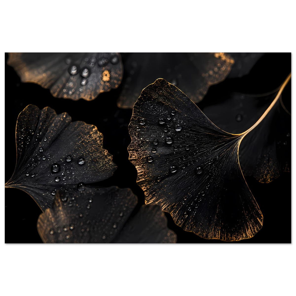 Ginkgo-Blatt Poster, dunkles Blattmotiv mit Wassertröpfchen und goldener Kontur, Querformat