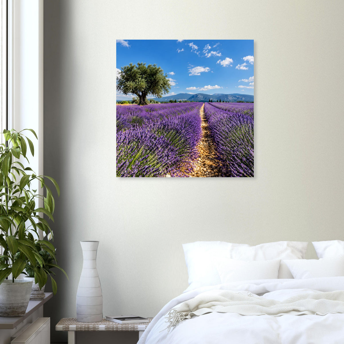 Quadratisches Lavendelfeld-Poster mit violetter Allee, blauem Himmel und Baum