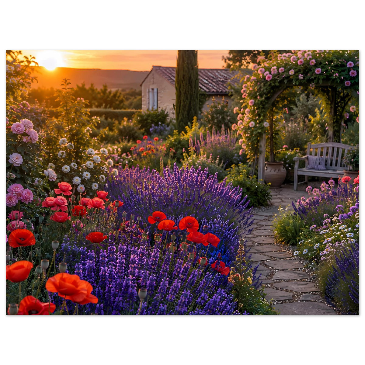 Gartenposter im Landschaftsformat: Sonnenuntergang, Lavendel und rote Mohnblumen, Bank rechts