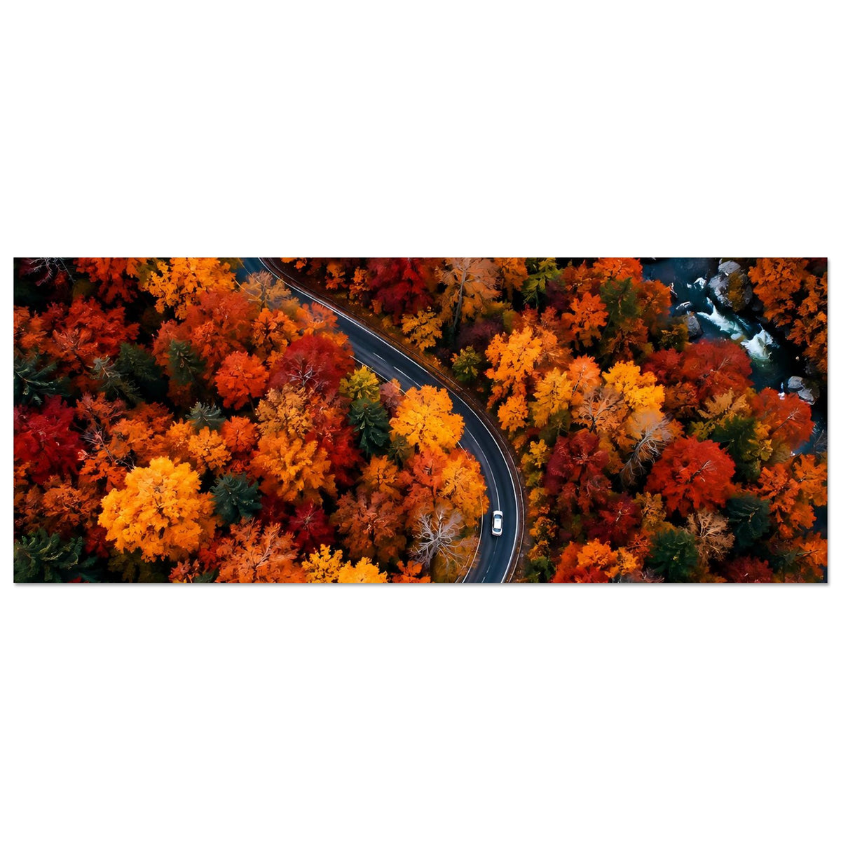Herbstliches Panorama-Poster mit kurviger Straße und buntem Laub in Orange- und Rottönen