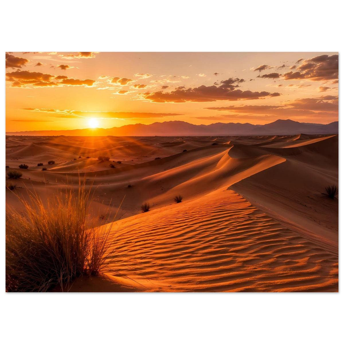 Wüstenlandschafts-Poster mit Sanddünen und Sonnenuntergang im warmen Abendlicht