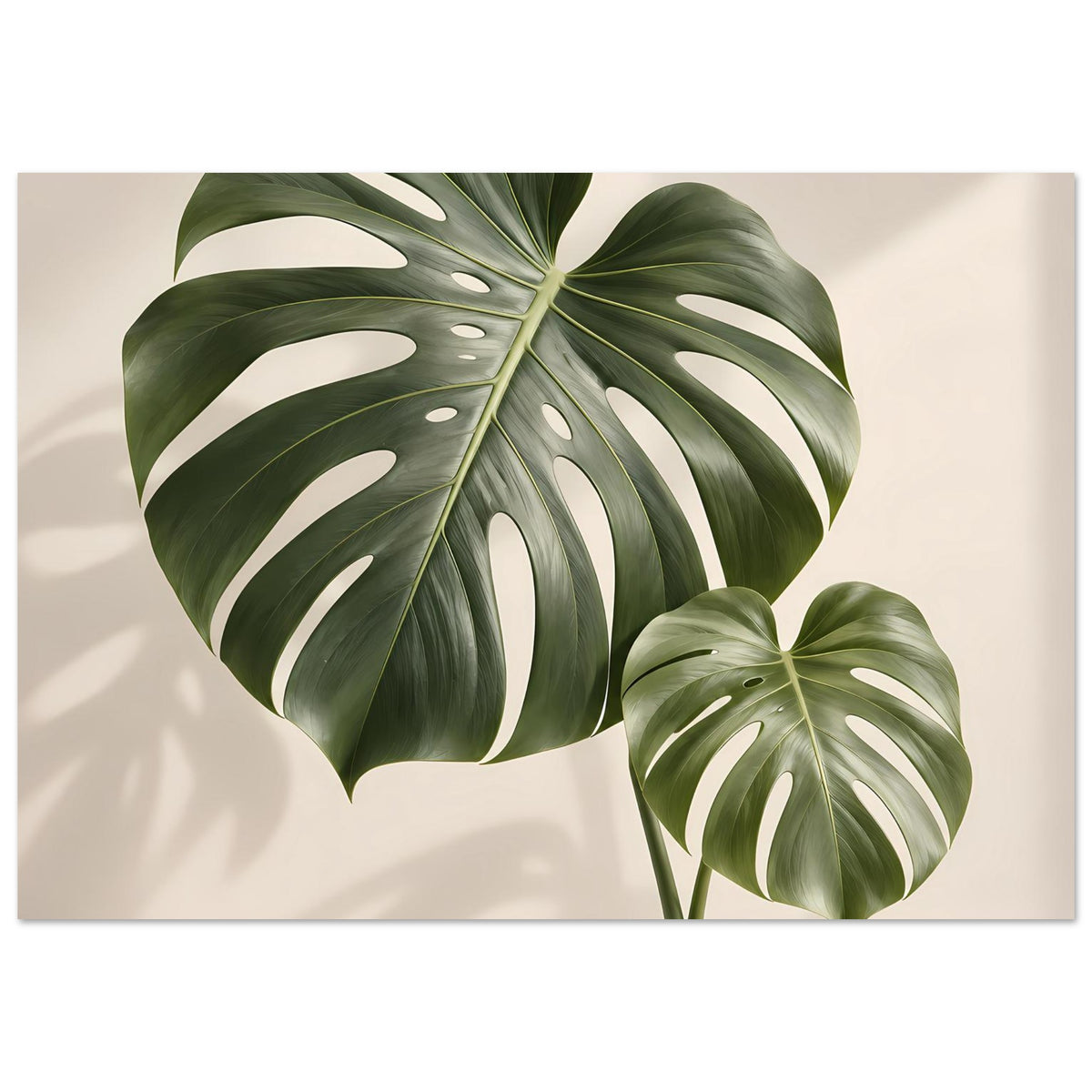 Poster mit Monstera-Blättern, Fokus auf zwei Blätter: groß links, kleines rechts
