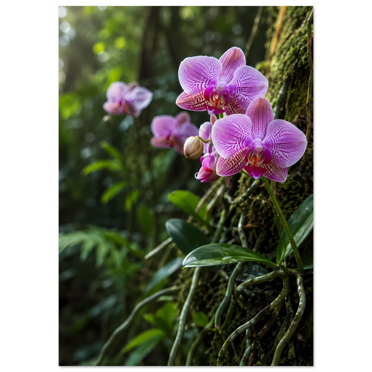 Botanisches Poster mit lila-pinken Orchideenblüten und grünen Blättern, Hochformat