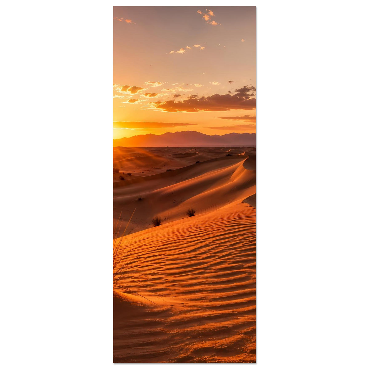 Vertikales Poster mit Wüstenlandschaft im Sonnenuntergang, Sonne am linken Bildrand