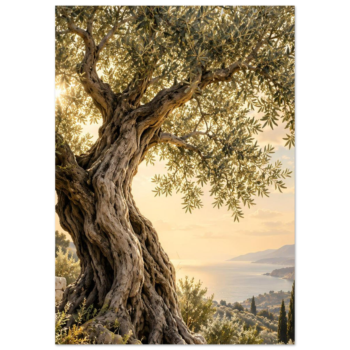 Poster im Hochformat, altes Olivenbaumexemplar mit verzweigtem Stamm und grünen Blättern