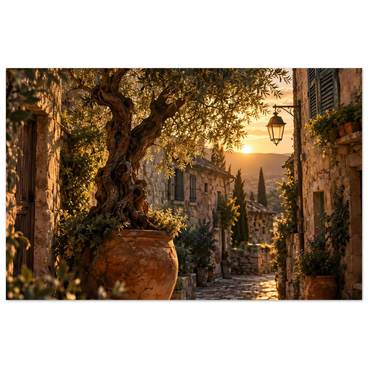 Sonnenuntergangs-Poster (Querformat): Olivenbaum vor mediterraner Gasse, goldene Abendstimmung.
