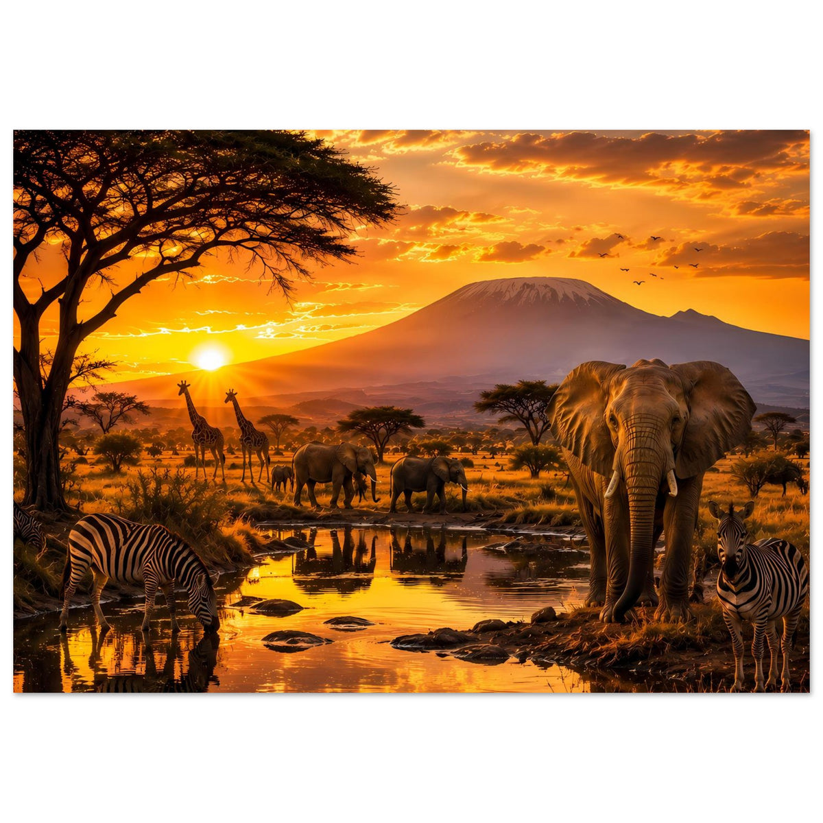 Hochkant-Wandposter mit Elefant rechts, Zebras links vorn und Giraffen in warmem Abendlicht
