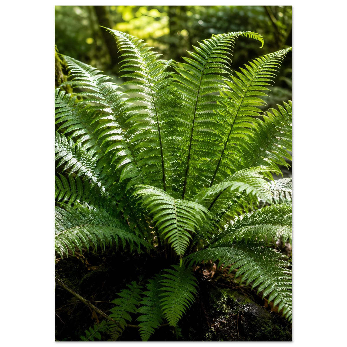 Botanisches Naturposter mit grünen Farnwedeln, naher Bildausschnitt