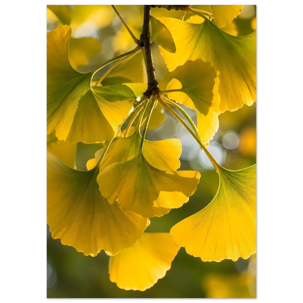 Leuchtendes Ginkgoblatt-Poster mit gelben Blättern und schlankem Zweig, auf mattem Papier.