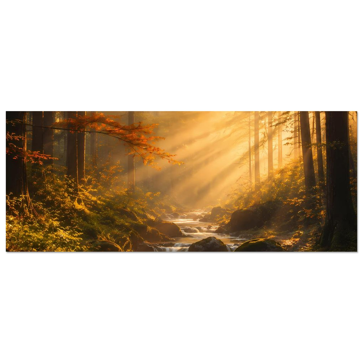 Poster im Querformat mit Sonnenaufgang im Wald, Bachlauf und Lichtstrahlen